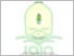 [thumbnail of 201200362_NOFYTA ANGGRAENY_PAI.pdf]