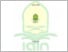 [thumbnail of Skripsi Nurul Aini 203210159.pdf]